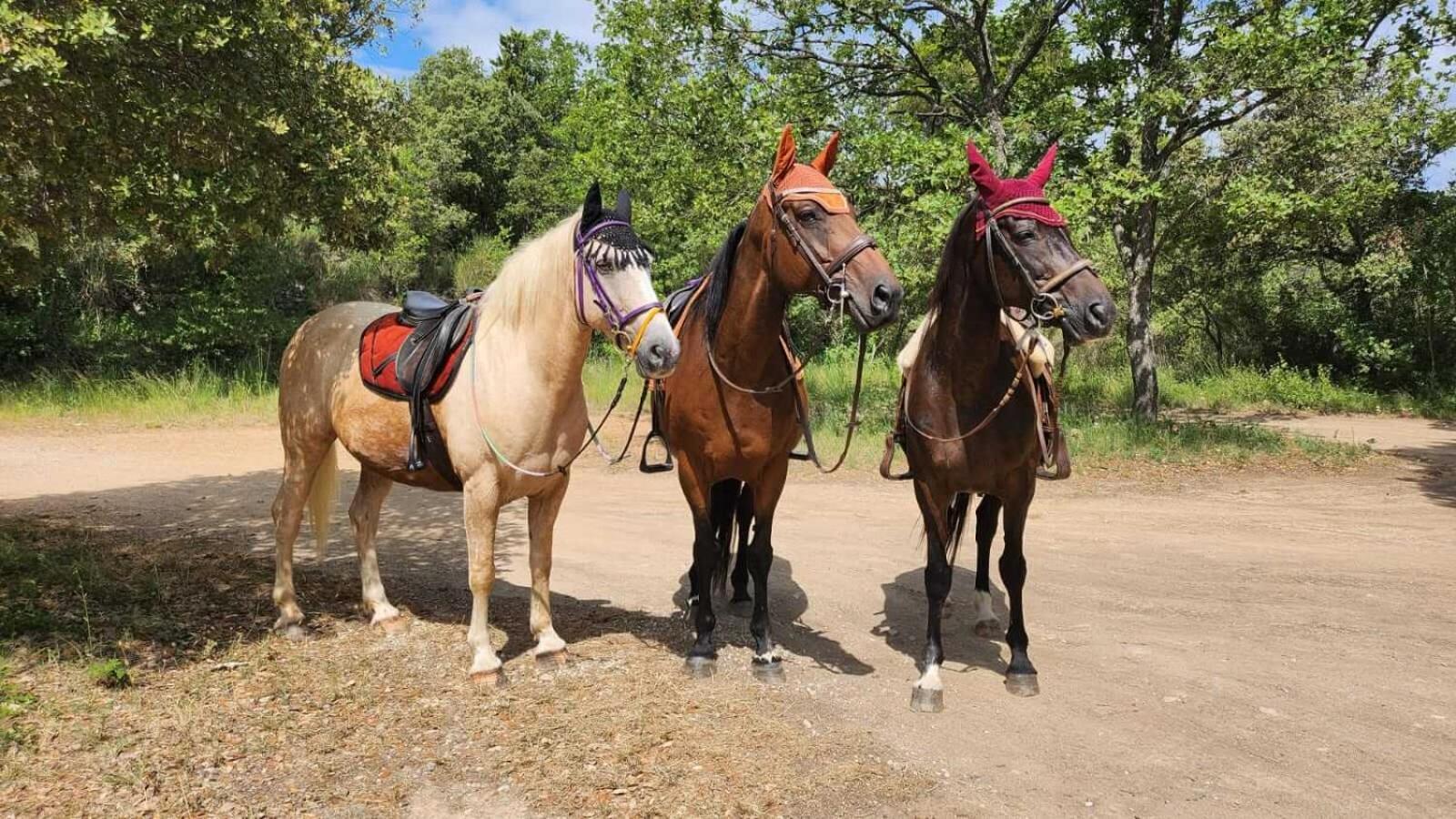 La Cabane Aux Chevaux Varages Bagian luar foto