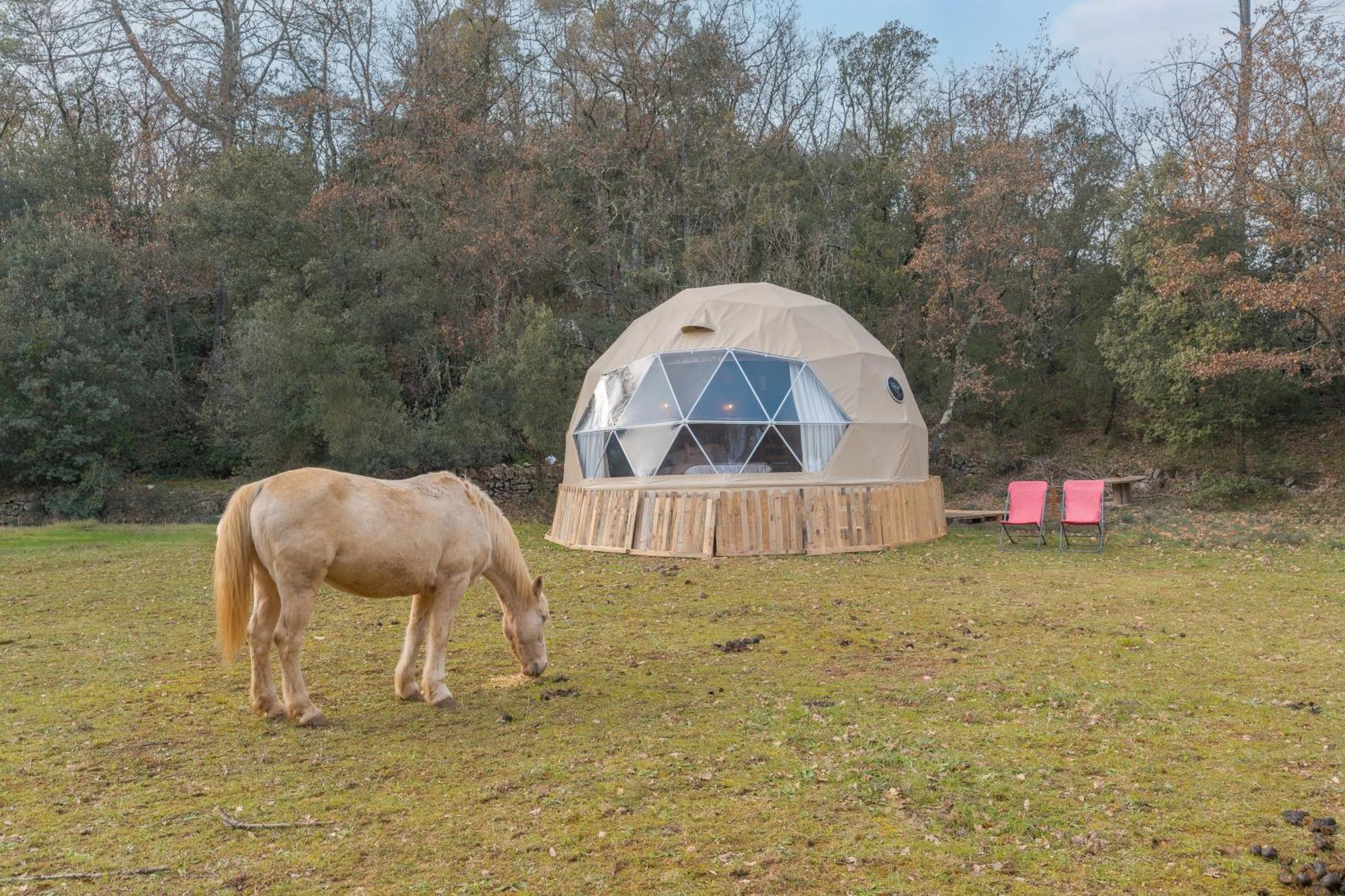 La Cabane Aux Chevaux Varages Bagian luar foto