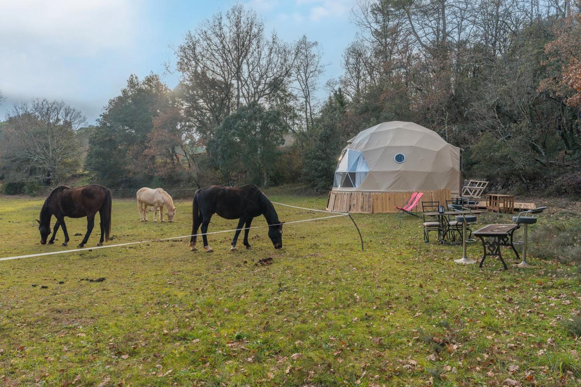 La Cabane Aux Chevaux Varages Bagian luar foto